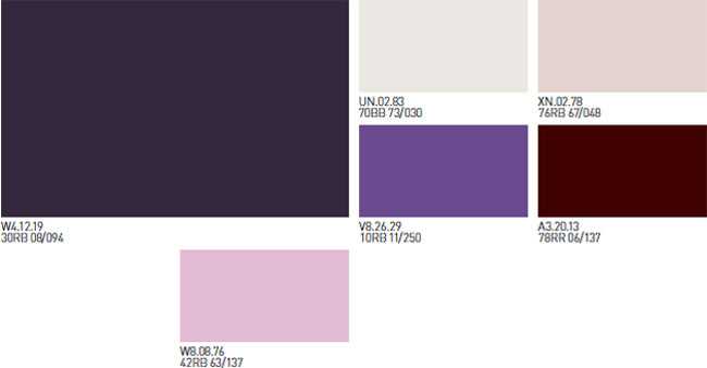 Mundo Montana Color Violeta